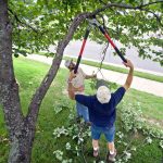 (6/27/11) - (Harrisonburg)JMU landscapers Mike Fitzgerald (right) and Chad Churchman trim redbud trees at Memorial Hall on South High Street Monday afternoon. (Nikki Fox/Daily News-Record)